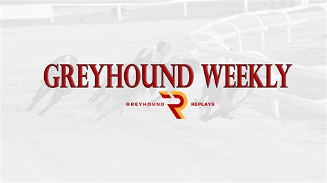 pgr greyhounds|GREAT RELIEF AS PGR UNVEIL THEIR 2024 .